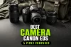 Greatest Canon EOS Cameras: 5 Picks In contrast